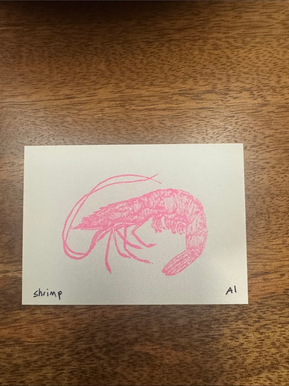 Inciardi- Shrimp - Mini Print